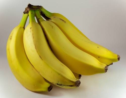 how-to-keep-fruit-flies-away-from-bananas
